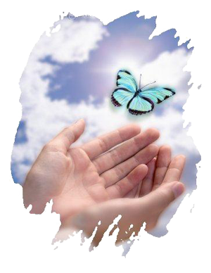 Visuel papillons et mains